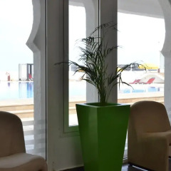 Отель Casablanca Le Lido Thalasso & Spa (ex Riad Salam) Марокко, Касабланка - 1 отзыв об отеле, цены и фото номеров - забронировать отель Casablanca Le Lido Thalasso & Spa (ex Riad Salam) онлайн гостиничный бар