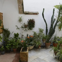Отель Casa Rural Las Cadenas del Cananeo фото 9