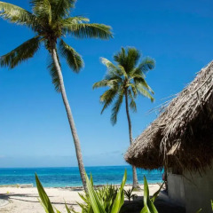 Отель Castaway Island Fiji 4* Стандартный номер с различными типами кроватей фото 8