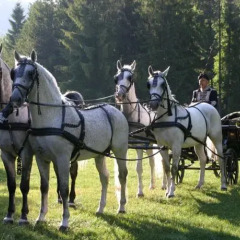 Отель Lipicai Turistaház Венгрия, Силвашварад - отзывы, цены и фото номеров - забронировать отель Lipicai Turistaház онлайн спортивное сооружение