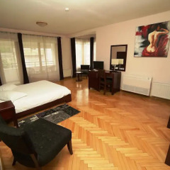 Hotel de Paris 3* Полулюкс с различными типами кроватей фото 6