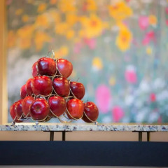 Отель Executive Royal Hotel Calgary Канада, Калгари - отзывы, цены и фото номеров - забронировать отель Executive Royal Hotel Calgary онлайн развлечения