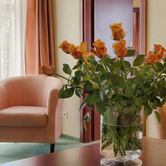 Hotel Lival комната для гостей фото 3