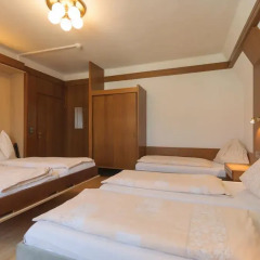 Hotel Tautermann 3* Стандартный номер с различными типами кроватей фото 11