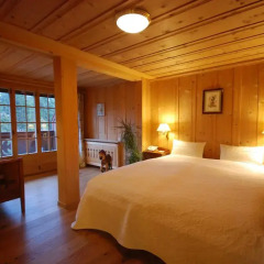Boutique Hotel Alpenrose 4* Стандартный номер с различными типами кроватей фото 5