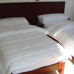 Transit Alexandria Hostel Улучшенный номер с различными типами кроватей фото 2