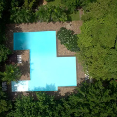 Palm Garden Village Hotel бассейн фото 2