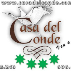 Отель Casa del Conde Стандартный номер с различными типами кроватей фото 40