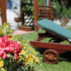 Отель Corona Villa Венгрия, Хевиз - отзывы, цены и фото номеров - забронировать отель Corona Villa онлайн фото 4