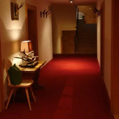 Hotel Gamshof 3* Стандартный номер с различными типами кроватей фото 14