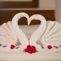 Отель Lanka Princess All Inclusive Hotel Шри-Ланка, Берувела - отзывы, цены и фото номеров - забронировать отель Lanka Princess All Inclusive Hotel онлайн удобства в номере
