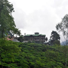 Отель Heaven Seven Nuwara Eliya Шри-Ланка, Нувара-Элия - отзывы, цены и фото номеров - забронировать отель Heaven Seven Nuwara Eliya онлайн фото 3