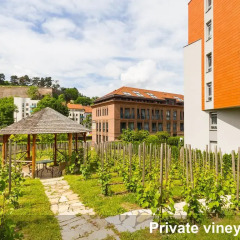 Апартаменты Albertov Rental Apartments Прага фото 7