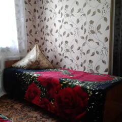 Отель Guest house Semeynyi Кыргызстан, Каракол - отзывы, цены и фото номеров - забронировать отель Guest house Semeynyi онлайн ванная