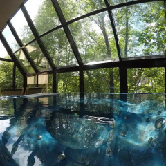 Отель Sunshine Chalet Польша, Закопане - отзывы, цены и фото номеров - забронировать отель Sunshine Chalet онлайн бассейн фото 2