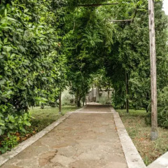 Отель Villa Isabella Италия, Гроттаферрата - отзывы, цены и фото номеров - забронировать отель Villa Isabella онлайн фото 7