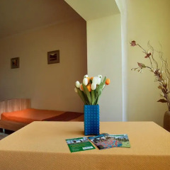 Отель Bed & Breakfast Bishkek 2* Кровать в мужском общем номере фото 9