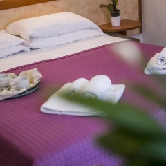 Hotel Lily 3* Стандартный номер фото 4