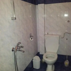 Отель Guest House Sarievi Болгария, Чепеларе - отзывы, цены и фото номеров - забронировать отель Guest House Sarievi онлайн ванная фото 2