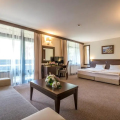Отель Lion Borovets 4* Стандартный номер фото 2