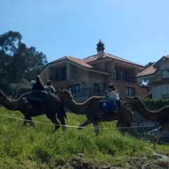 Отель Posada la Maza Испания, Арнуэро - отзывы, цены и фото номеров - забронировать отель Posada la Maza онлайн