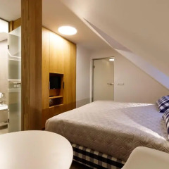 Hotel Bedriška Wellness Resort & Spa 4* Стандартный номер с различными типами кроватей фото 5