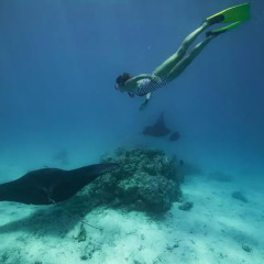 Отель Fafarua Ile Privée Private Island Французская Полинезия, Тикехау - отзывы, цены и фото номеров - забронировать отель Fafarua Ile Privée Private Island онлайн спортивное сооружение