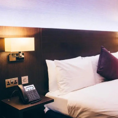Lorne Hotel Glasgow 3* Стандартный номер с двуспальной кроватью фото 14