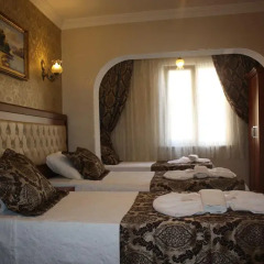 Big Apple Hostel & Hotel Номер Делюкс с различными типами кроватей фото 7