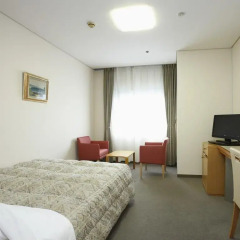 Fukuoka Recent Hotel 3* Стандартный номер