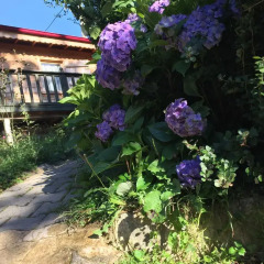 Pilita Bungalov&Rest Турция, Чамлыхемшин - отзывы, цены и фото номеров - забронировать отель Pilita Bungalov&Rest онлайн фото 2