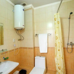Rich Hotel 4* Стандартный номер фото 8