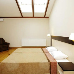 Deluxe Hostel Under The Roof Львов помещение для мероприятий
