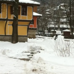 Отель Darina Guest house пляж