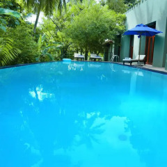 Отель Tropical Retreat бассейн