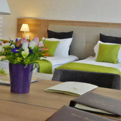 Suite Hotel Sofia 4* Стандартный номер с различными типами кроватей фото 6