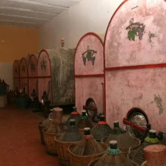 Отель Agriturismo Cerroni Montescudaio Монтескудаио развлечения