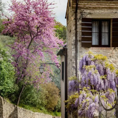 Отель Casa Zorzi Италия, Региональный парк Colli Euganei - отзывы, цены и фото номеров - забронировать отель Casa Zorzi онлайн