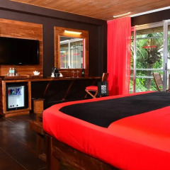 Reina Roja Hotel - Adults Only 3* Номер Делюкс с различными типами кроватей фото 3