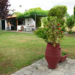 Отель Evangelia's Family House Греция, Ситония - отзывы, цены и фото номеров - забронировать отель Evangelia's Family House онлайн фото 8