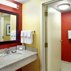 Отель Courtyard Columbus Airport 3* Стандартный номер с различными типами кроватей