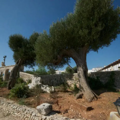 Отель Masseria Cinti Италия, Канноле - отзывы, цены и фото номеров - забронировать отель Masseria Cinti онлайн пляж фото 2