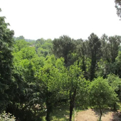 Elgarden Hotel & Residence Турция, Дербент - отзывы, цены и фото номеров - забронировать отель Elgarden Hotel & Residence онлайн фото 6