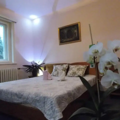 Boeritza Hotel Complex комната для гостей фото 2