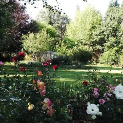 Отель Treelands Estate Dullstroom