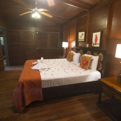 Отель Chachagua Rainforest Ecolodge 3* Стандартный номер с различными типами кроватей фото 14