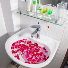 Golden City Light Hotel 2* Улучшенный номер с различными типами кроватей фото 6