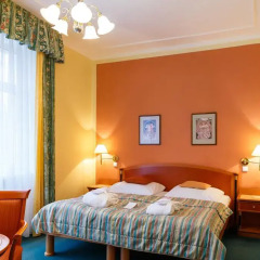 Villa Savoy Spa Park Hotel 4* Стандартный номер с различными типами кроватей фото 11