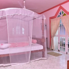 Отель Blue Eyes Inn Стандартный номер с различными типами кроватей фото 16