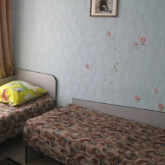 Гостиница Palmira Hostel Backpackers Украина, Каменец-Подольский - отзывы, цены и фото номеров - забронировать гостиницу Palmira Hostel Backpackers онлайн комната для гостей фото 2